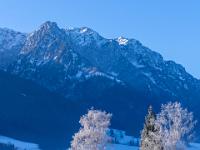 Raureif auf Bäumen am Seerundweg mit Zahmem Kaiser